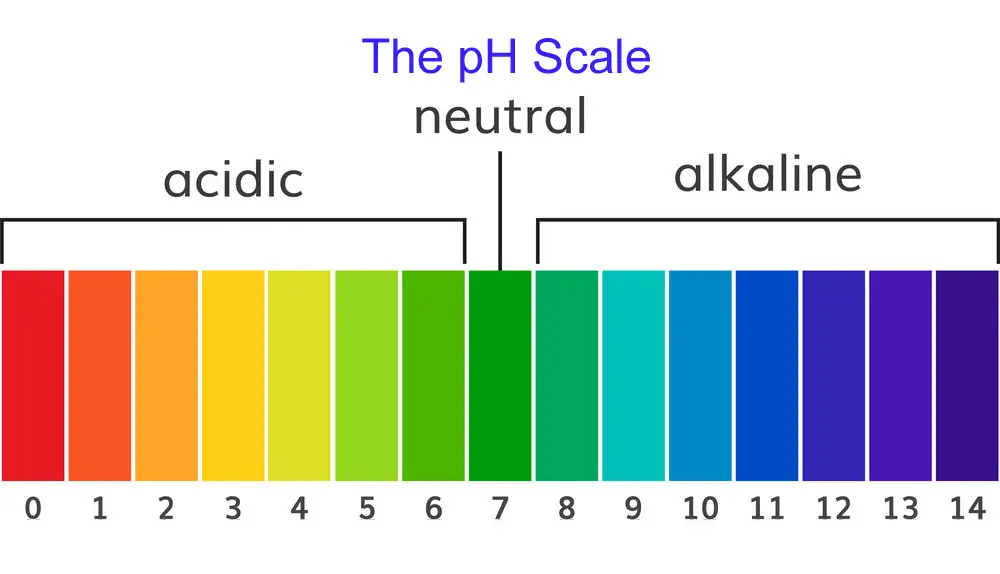 ph scale chart help to know
why does bottled water taste sweet