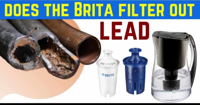 Does the Brita Filter Out Lead Effectively?
