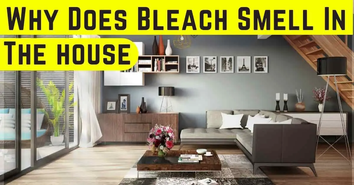 Why does Bleach smell in the house?