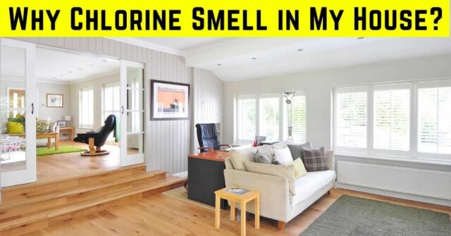 Why Chlorine Smell in My House