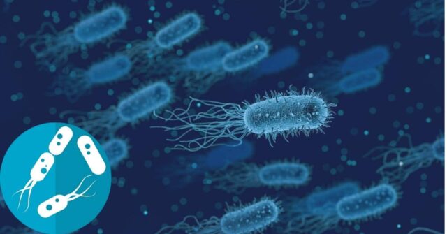 What Is The Method By Which Coliform Bacteria Are Identified?  