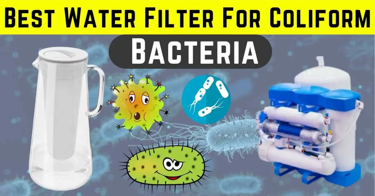 10 Best Water Filter For Coliform Bacteria