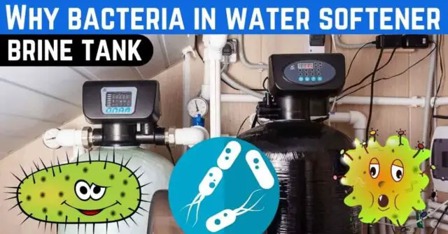 bacteria in water softener brine tank