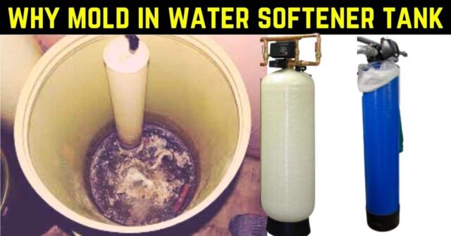 mold in water softener tank