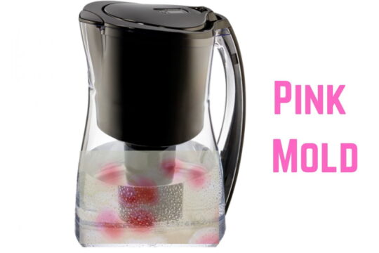 Pink mold in Brita pitcher